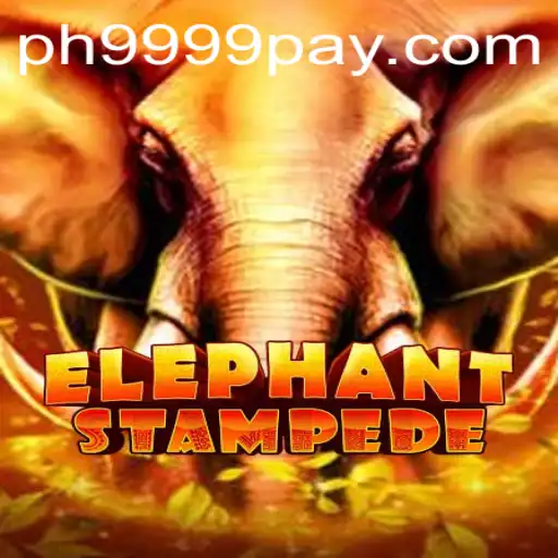 PH9999.COM Casino App